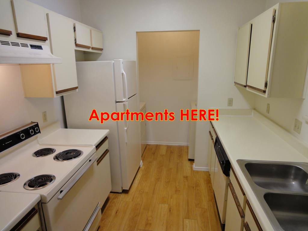 Affordable Second Chance Apartment in North Austin!